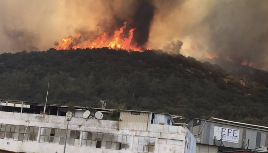 Bodrum'da yangın yerleşim alanlarına indi, oteller ve evler boşaltılıyor