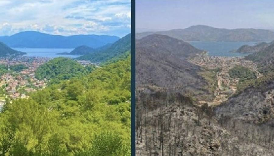 Yanan orman arazileri turizme açılabilir mi?