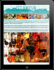 İstanbul turizmine yerli yapım mobil uygulama: İstanbul Travel Guide