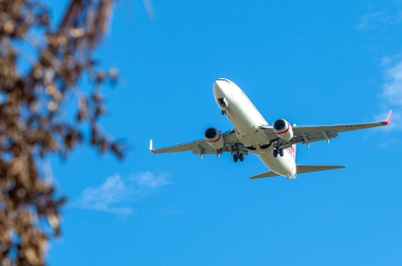 İki havayolu şirketi iflas sürecine girdi