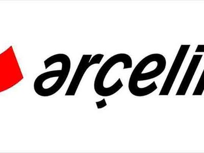 Arçelik Japon Hitachi'yi satın almak için görüşüyor