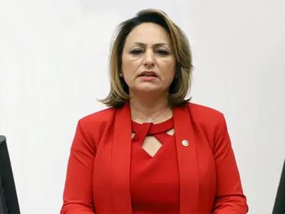 ''Avrupa’da yaşayan yüz binlerce Türk 'yaz tatili' tedirginliği yaşıyor''