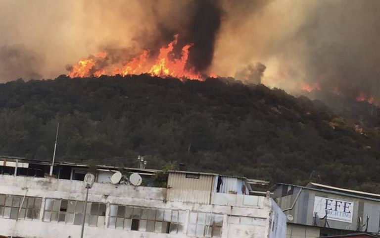 Bodrum'da yangın yerleşim alanlarına indi, oteller ve evler boşaltılıyor
