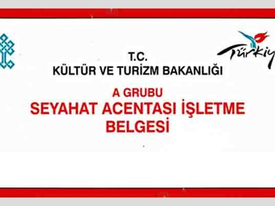 Kaç seyahat acentesi belge devri için başvurdu?
