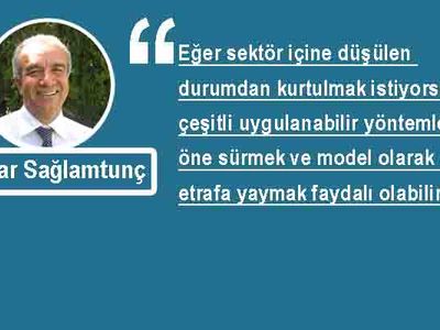 Tedbir almak ama nasıl?