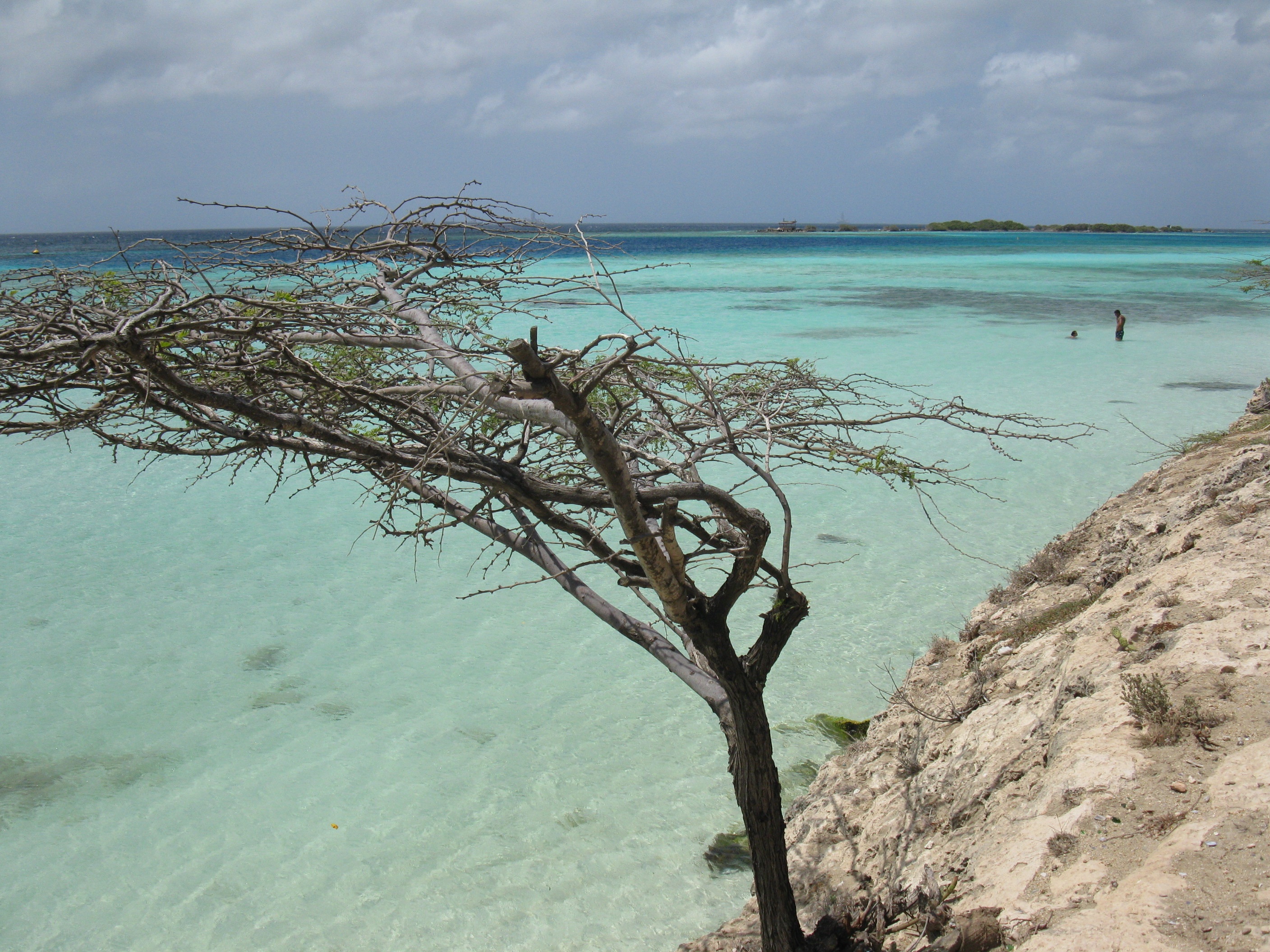 aruba