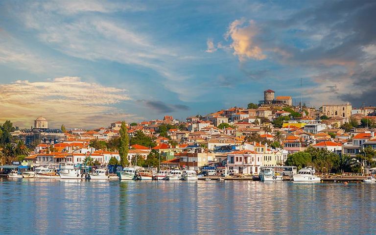 Jolly Ayvalık Uluslararası Zeytin Hasadı'nda