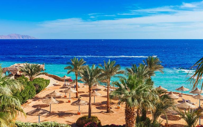 Coral Travel Group bu yılki Mısır hedefini açıkladı