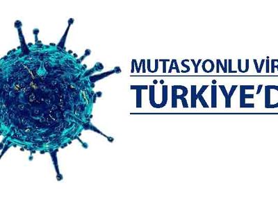 İngiltere'den gelişler tamamen durduruldu