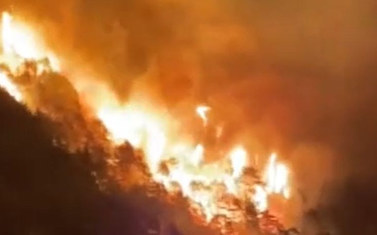 Alanya’daki orman yangını kontrol altına alındı