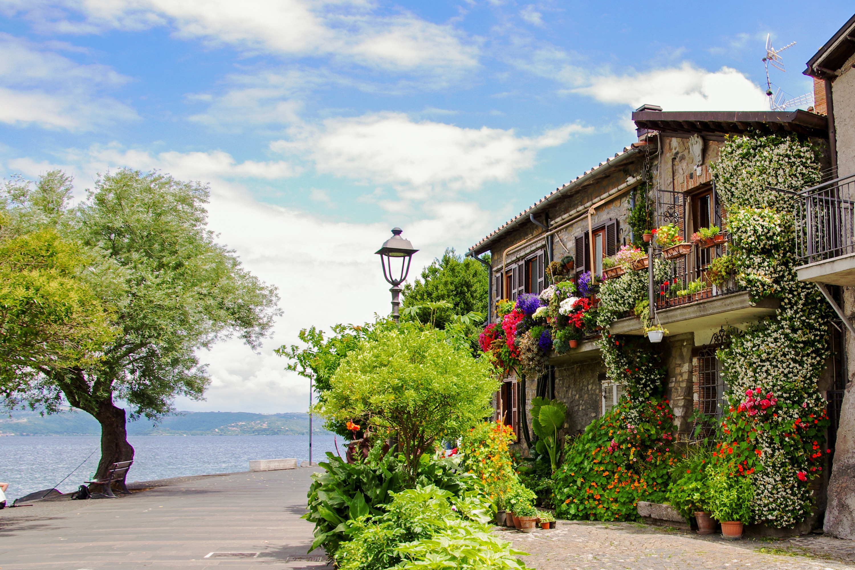 anguillara