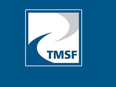 TMSF, dev enerji şirketini ihaleye çıkardı