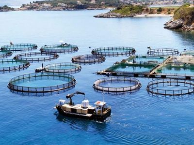 Balık çiftlikleriyle ilgili düzenleme