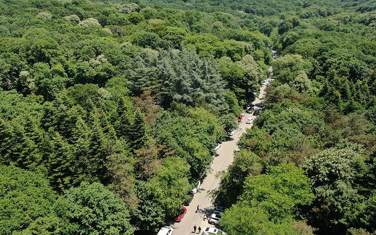 Belgrad Ormanı imara açılıyor, otel de yapılabilecek