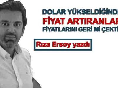 Merkez Bankası döviz almalıdır