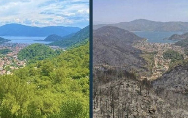 Yanan orman arazileri turizme açılabilir mi?