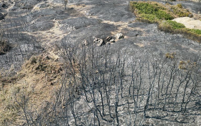 Çanakkale’deki orman yangını kontrol altına alındı