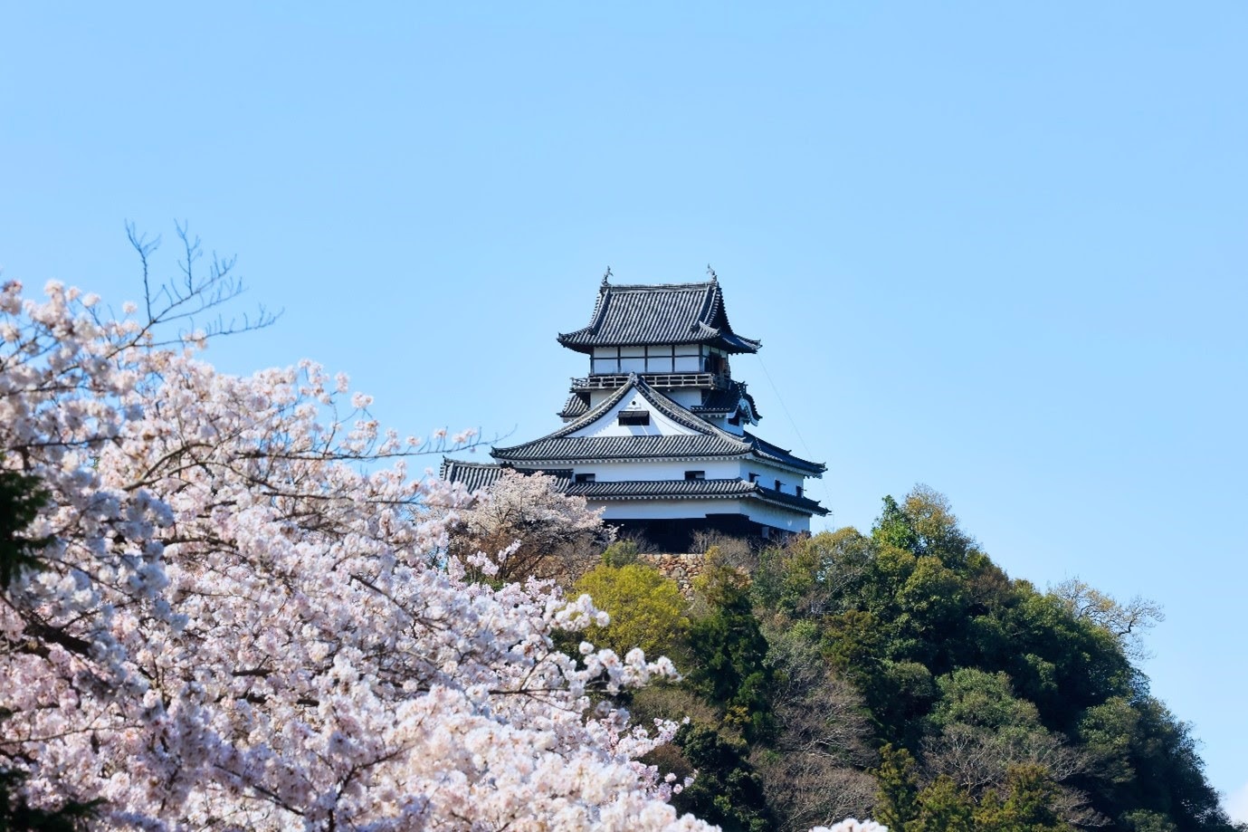 Sakura mevsiminde Japonya’da ziyaret edilmesi gereken destinasyonlar