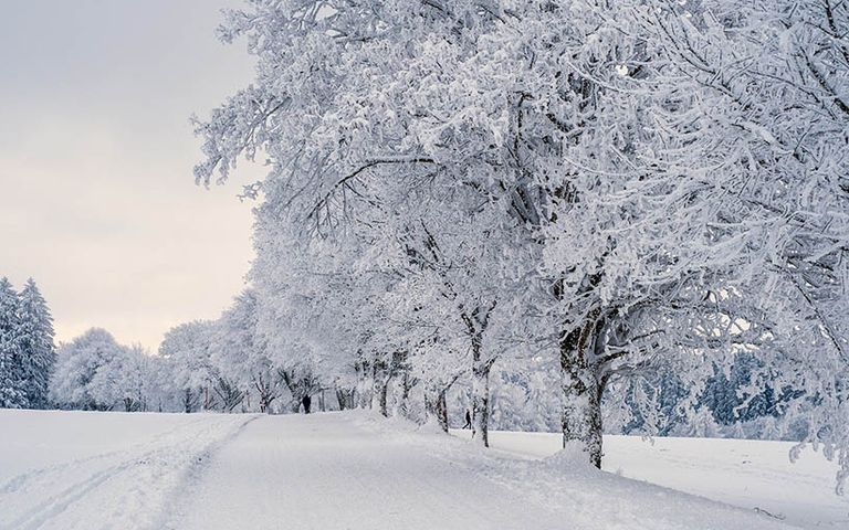Meteorolojiden 22 ile kar uyarısı