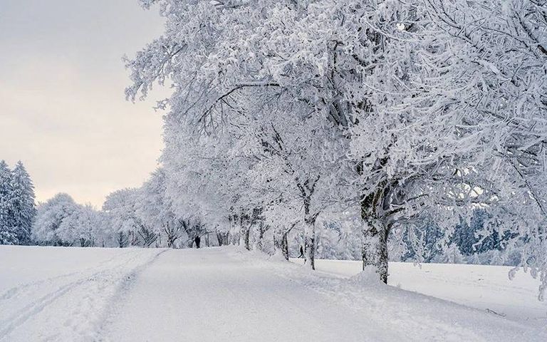 Meteorolojiden o bölgelere yoğun kar uyarısı