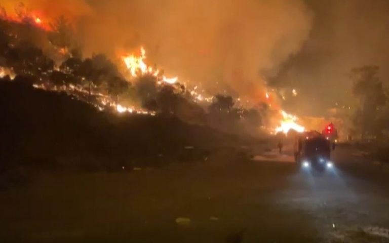 Mersin’deki orman yangını kontrol altında