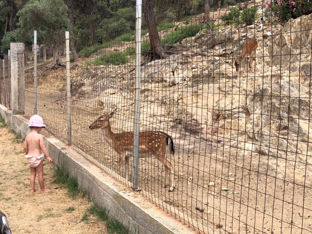 Komşuda pişen