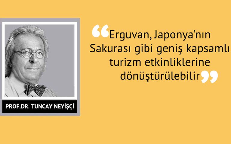 'Bunu ne İstanbul belediyeleri ne de turizm kanaat önderleri düşünebilmiş'