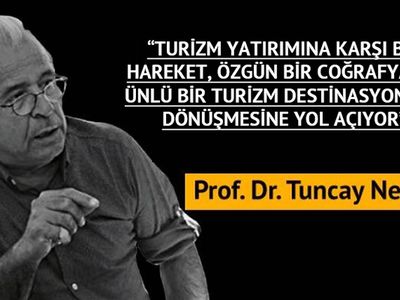 Kaptan June ve deniz kaplumbağaları