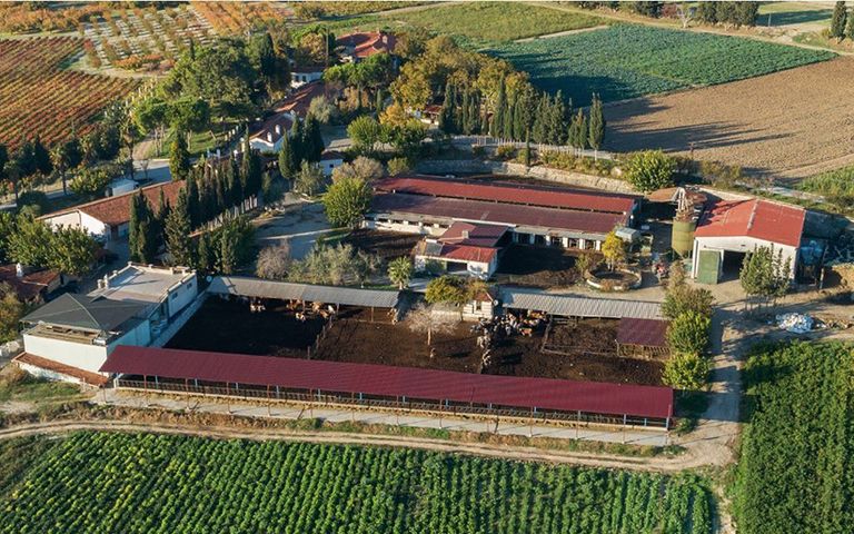 Turizmci Tonbul Ailesi’nin ürettiği zeytinyağlarına 3 ödül birden