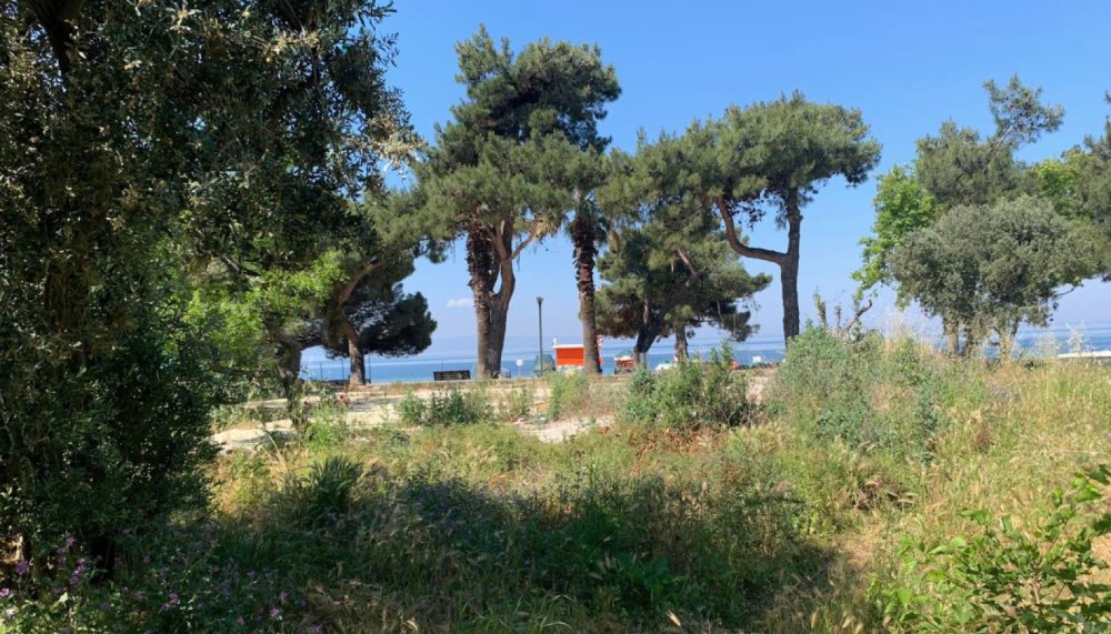 Erdek Otel