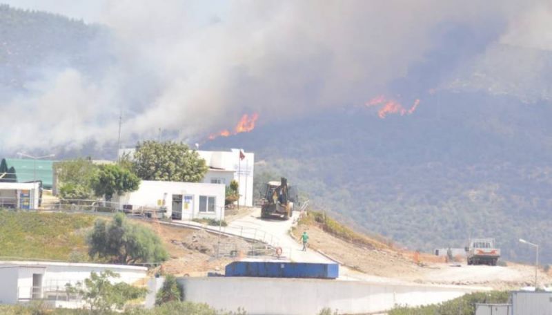Bodrum Orman Yangını