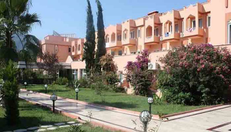 beldiana2